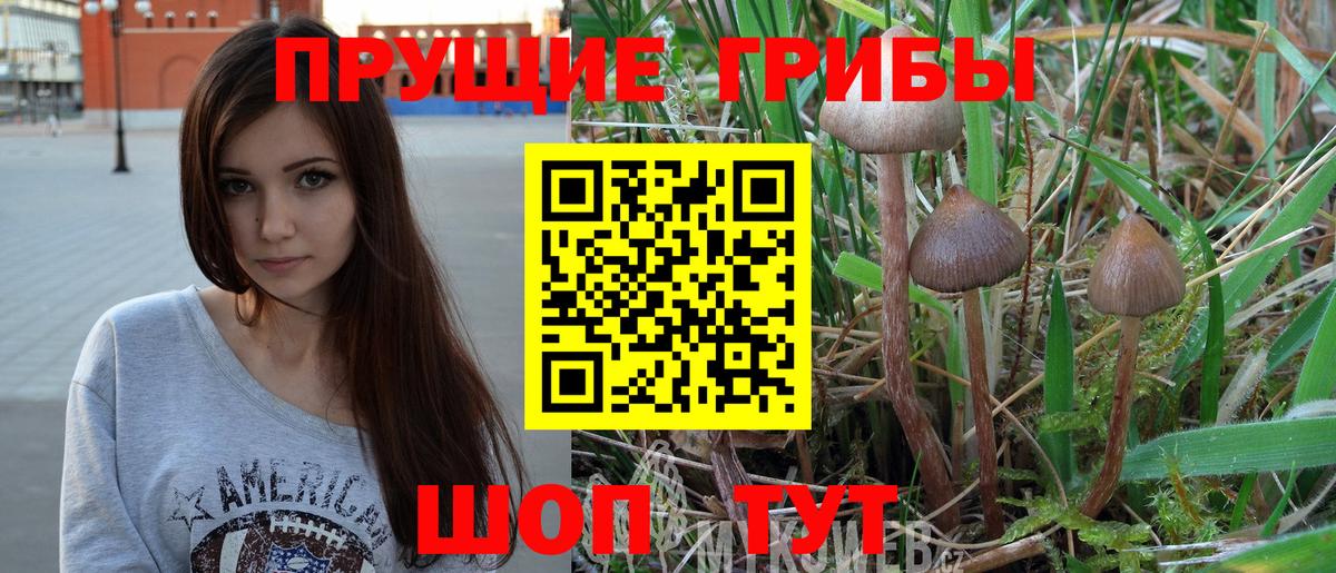 Псилоцибиновые грибы MAGIC MUSHROOMS Мытищи