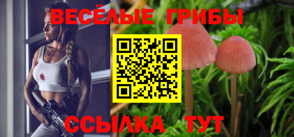 Галлюциногенные грибы MAGIC MUSHROOMS  Вход с VPN  Галлюциногенные грибы ЛСД  Мытищи 